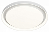 Накладной светильник Denkirs Cany DK6515-WH 100_100_3165155