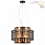 Подвесной светильник Lumion Zarina 8007/6 250_100_1864895
