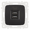 Розетка USB, без рамки Arte Milano am-205 205.46-1.black 100_100_2167126