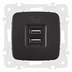 Розетка USB, без рамки Arte Milano am-205 205.46-1.black 250_100_2167126