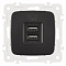 Розетка USB, без рамки Arte Milano am-205 205.46-1.black