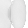 Накладной светильник Lightstar Celesta 809106 100_100_3099053