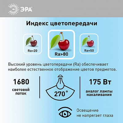 Лампа светодиодная Эра Стандарт E27 21Вт 6000K LED A65-21W-860-E27 400_400_2474243