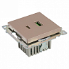 Розетка 2хUSB type A и C без рамки Stekker Катрин 50056 100_100_2160611