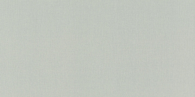 960792 Обои Rasch (1*6) 10,05x1,06 винил на флизелине 400_400_2324215
