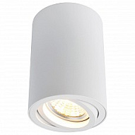 Накладной светильник Arte Lamp Sentry A1560PL-1WH 500_191_2249103