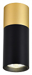 Накладной светильник Favourite Deepak 3074-1C 250_100_1767233