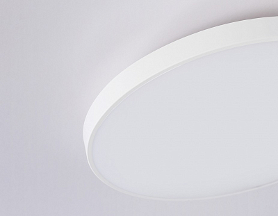 Накладной светильник Ambrella Light FZ FZ1220 400_400_2020002