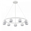 Подвесная люстра Lumion Luazana 8254/9 100_100_1867024
