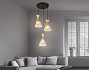 Подвесной светильник Ambrella Light TR TR3175 100_100_2023413