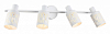 Спот Ambrella Light TR TR8666 100_100_2029987