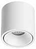 Накладной светильник Odeon Light Redo 6620/10CL 100_100_3233571