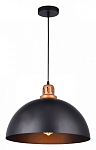 Подвесной светильник Arte Lamp Eurica A4249SP-1BK 250_100_2381845