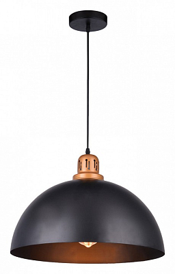 Подвесной светильник Arte Lamp Eurica A4249SP-1BK 400_400_2381845