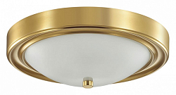 Накладной светильник Lumion Nina 5259/2C 250_100_Array