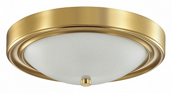 Накладной светильник Lumion Nina 5259/2C 500_191_2449031