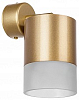 Спот Lightstar Rullo RBX349081 100_100_2234976