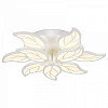 Накладной светильник Ambrella Light FA FA460 100_100_2441909