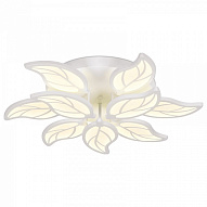 Накладной светильник Ambrella Light FA FA460 500_191_2441909