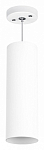 Подвесной светильник Lightstar Rullo RP6496 250_100_1714838