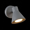 Спот Freya FR4308-WL-01-GR 100_100_2882609