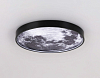 Накладной светильник Ambrella Light FW FW11110 100_100_2025996