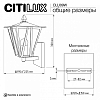 Светильник на штанге Citilux FORTS CLU09W 100_100_1695438