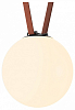 Накладной светильник Denkirs Belty Orb DK5555-BK 100_100_2445140