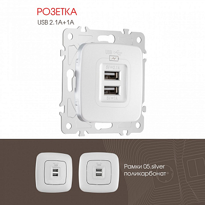 Розетка USB, без рамки Arte Milano am-205 205.46-1.silver 400_400_2167137
