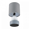 Настольная лампа декоративная Lumion LALANA 8181/1T 100_100_1867329