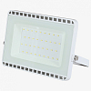 Настенно-потолочный прожектор LEDS POWER Е027 001074 100_100_2200174