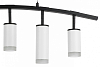 Подвесной светильник Lightstar Rullo LR7353638620 100_100_1716631