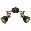 Спот Arte Lamp Jovi A1677PL-2GO 100_100_2249709