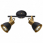Спот Arte Lamp Jovi A1677PL-2GO 250_100_Array