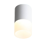 ST100.502.10 Светильник потолочный Белый LED 1*10W 3000K 780Lm Ra>80 120° D78xH135 170-240V Накладные светильники 250_100_2957914