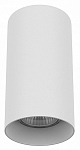 Накладной светильник Lightstar Rullo 216486 250_100_Array
