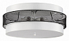 Накладной светильник Lumion Animaisa 8002/6C 100_100_3155140
