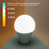 Лампа светодиодная Elektrostandard Classic LED E27 13Вт 3300, 4200, 6500K a053389 100_100_2241105