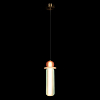 Подвесной светильник Loft it Lollipop 10239P/C 100_100_1849838