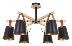 Люстра на штанге Arte Lamp Thomas A7032PL-6BK 250_100_Array
