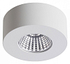 Накладной светильник Odeon Light Bene 4282/7CL 100_100_1725047