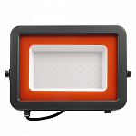 Настенно-потолочный прожектор Jazzway  PFL-S2 100w 6500K IP65 250_100_2870827