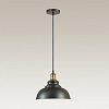 Подвесной светильник Lumion Dario 3675/1 100_100_1862618