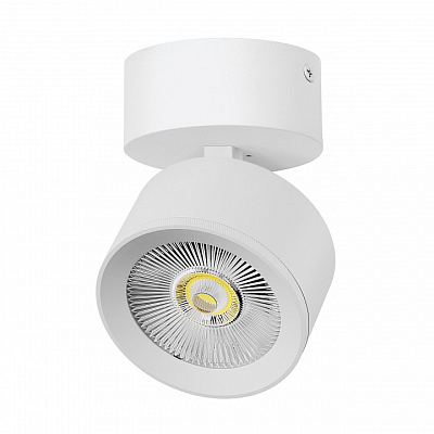 Спот Lightstar Alta Pro A5536SO 400_400_2869246