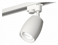 Светильник на штанге Ambrella Light XT XT1122001 250_100_2003935