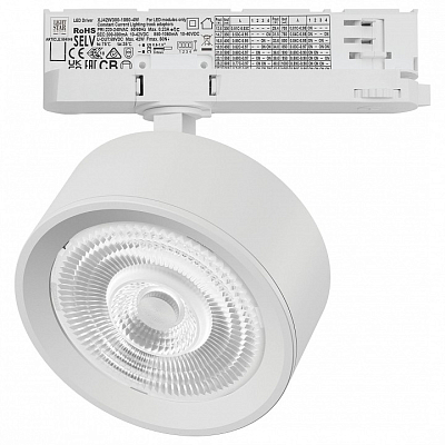 Светильник на штанге Lightstar Alta Pro A5636QT60G 400_400_3240179