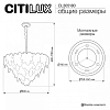 Подвесная люстра Citilux DRYAD CL305180 100_100_2820361