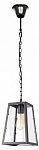 Подвесной светильник Loft it Modern Filament LOFT1127 250_100_1844778
