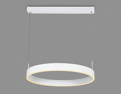 Подвесной светильник Ambrella Light FA FA6605 400_400_2018181