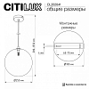 Подвесной светильник Citilux ORTON CL202041 100_100_1695357